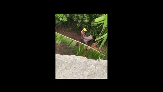 Yeraldincom Singando escondida en un Monte – Allxporno.com
